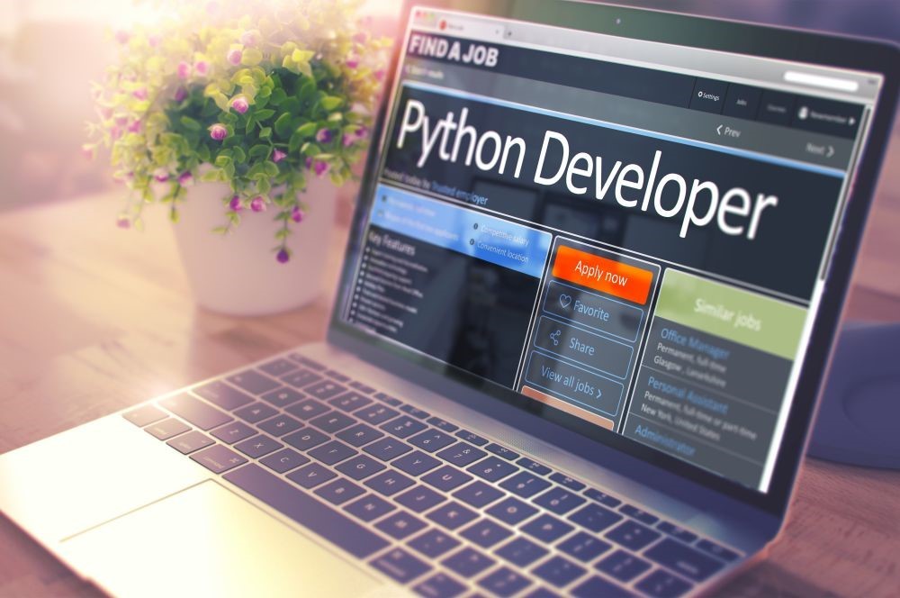 python programming
